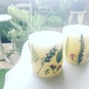 【動画レッスン】植物の美しさにひかれる　ボタニカルキャンドルの画像