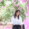 宮古島■色とりどりの南国の花と美味しいマンゴーを1年中楽しめるユートピアの画像