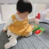 娘お気に入りの韓国おもちゃ。家でも外でも大活躍。の画像