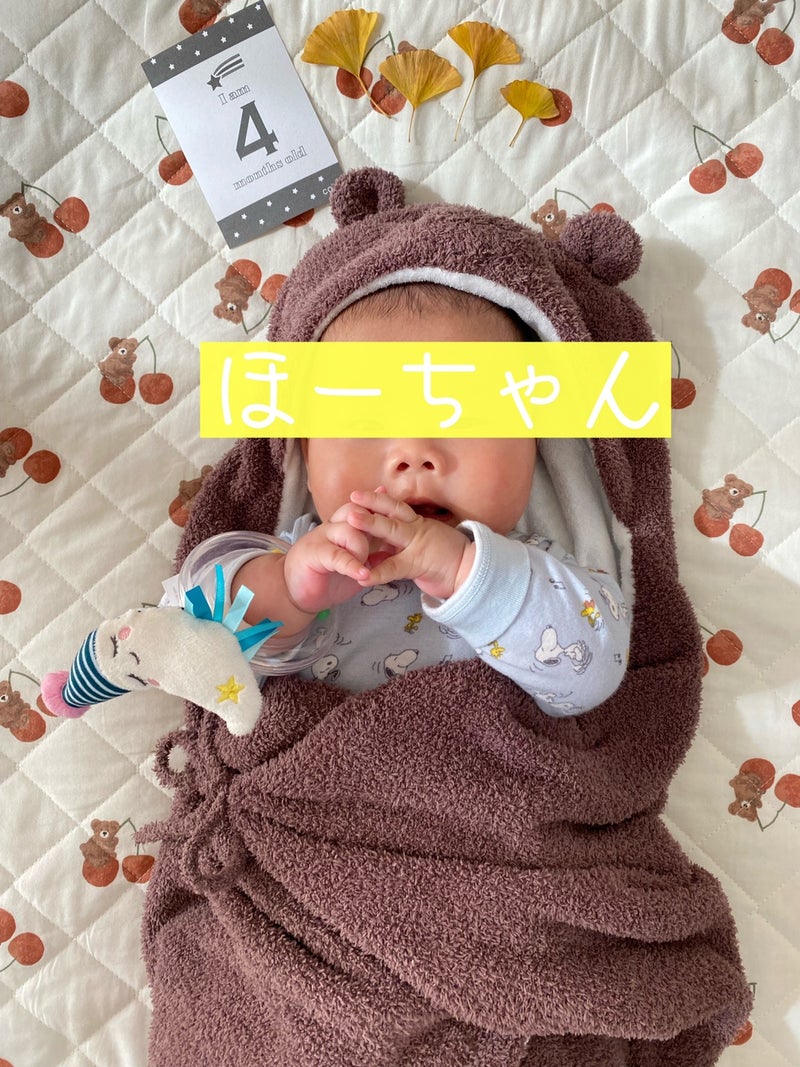 4ヶ月 とおむつのサイズ Hamanobako 高齢出産母の1歳児子育てブログ