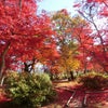 旧池田氏庭園 払田分家庭園で立冬の美しい紅葉に出会ってきました！の画像
