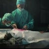 深すぎる闇、中国の臓器売買の画像