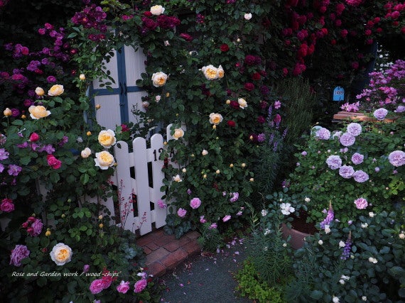バラの庭 木製ゲート