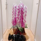 誕生日のお花たち～会長からのお花はいつも素敵(^▽^)/　お花のアレンジってセンスだよねの記事より