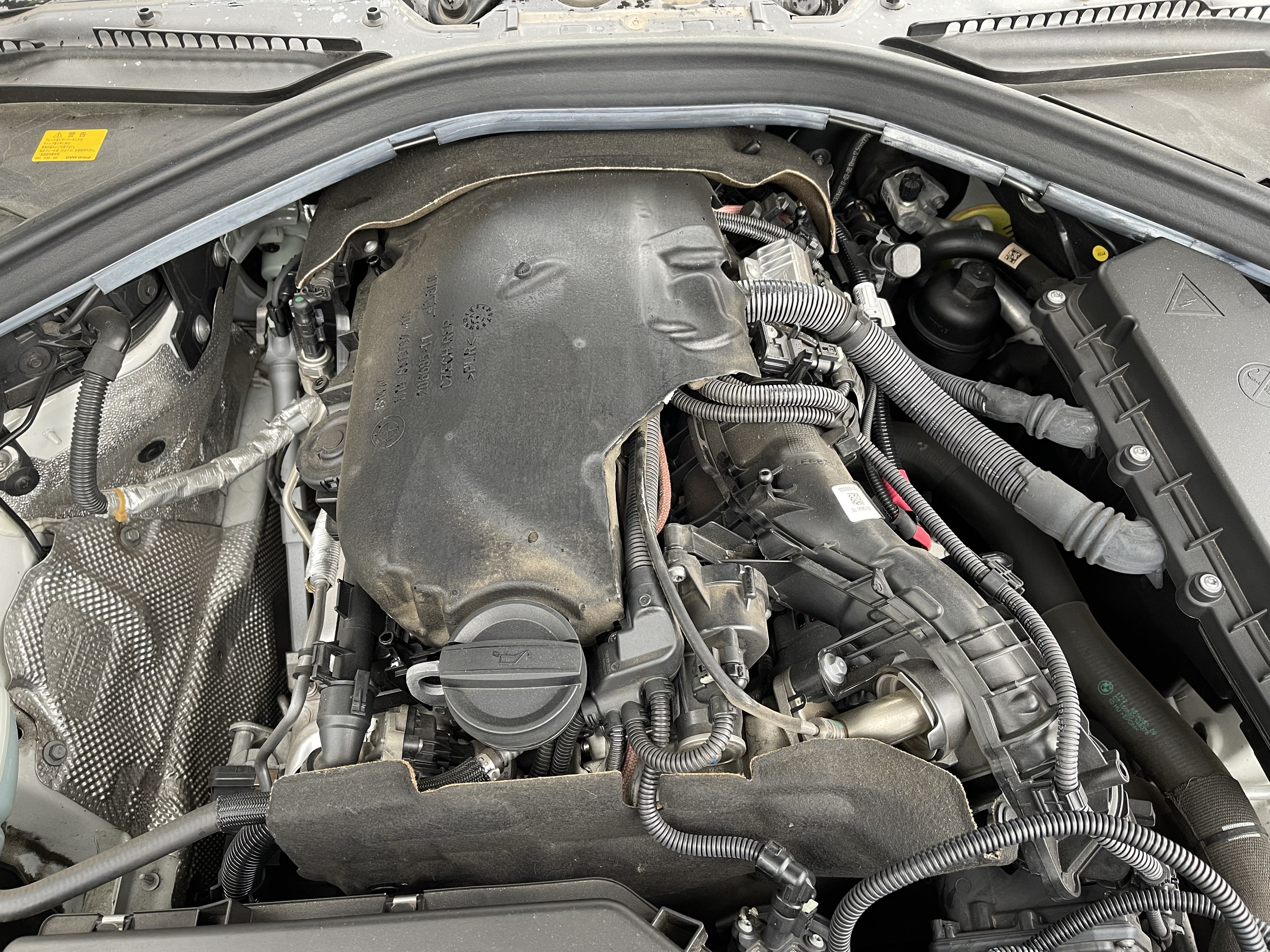 何でも揃う エムラインレースチップGTS Black BMW N55エンジン用