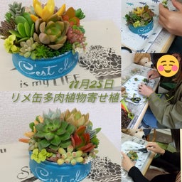 画像 多肉植物寄せ植えレッスンレポ         イメルダ の記事より 1つ目