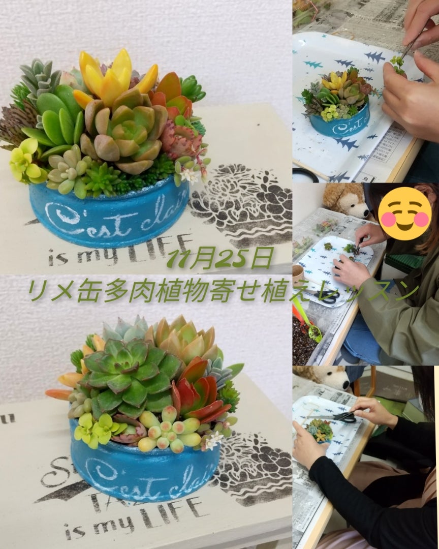 多肉植物寄せ植えレッスンレポ         イメルダの記事より