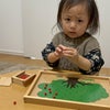 2歳児におすすめ モンテッソーリのお仕事♡りんごの木の画像