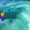 東京から船で30時間のクルーズ.おがさわ丸で日本のガラパゴス島に行ってきた➎プリンセス魔法占い館の画像