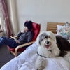 お世話になりました！館山で泊まったペット同伴可ホテルに大満足の画像