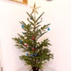 クリスマスツリー（1周目）の画像