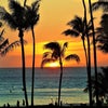 ～Blue Hawaii～の画像