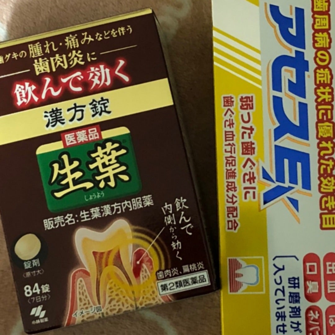 三宝はぐきみがき 歯槽膿漏用剤(125g*5箱セット)