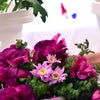 気持ちを華やかにしてくれるお花の魔法【花育士フラワーセラピー資格取得】の画像