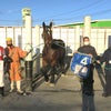 クリスマスはサトリーヌ占い　ばんえい十勝　ばんえい競馬　帯広競馬　サトリーヌ・FUJIWARAの画像