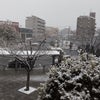 初雪の画像