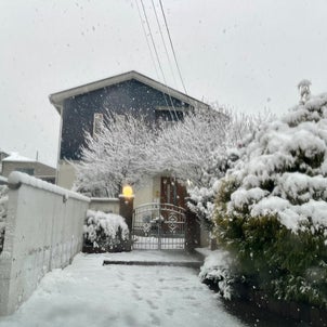 雪のティアハイム　～午後4時の風景の画像