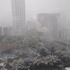 東京の初雪☆～雪景色～の画像