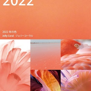2022年の注目カラー【JAFCA編】の画像