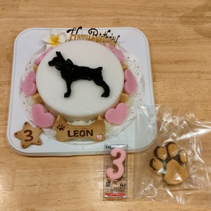 犬用ケーキ  丸型（L）＆シルエットケーキ用丸型の画像