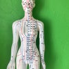 股関節痛と内臓の関係の画像