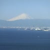 日本人の遺伝子と富士山の画像