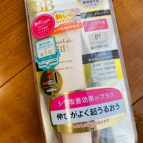 ブログ投稿画像