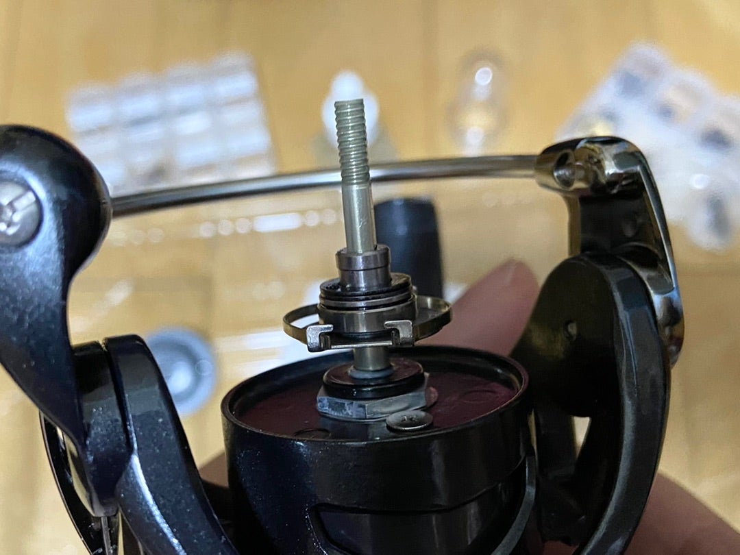 DAIWA 21カルディア FC LT2000S-H | 5匹/時間 DAIWA 21カルディア FC LT2000S-H | 5匹/時間