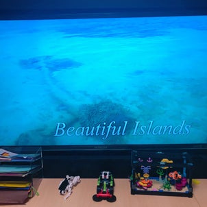 【子どもと映画鑑賞】Beautiful Islandsの画像