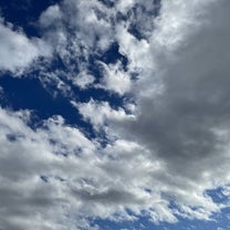 ブログ投稿画像