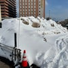 小樽の冬の画像