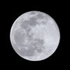 モノトーン満月の画像