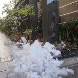 画像 京都市内は積もってたそうですが・・・ の記事より 1つ目
