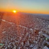 キネシオロジーヒーリングの画像