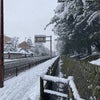 京都は雪⭐︎あむゆーずフレンズのワークショップ！の画像