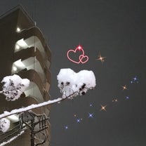 ブログ投稿画像