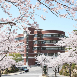 【語学堂紹介】釜山で完璧な留学生活の画像