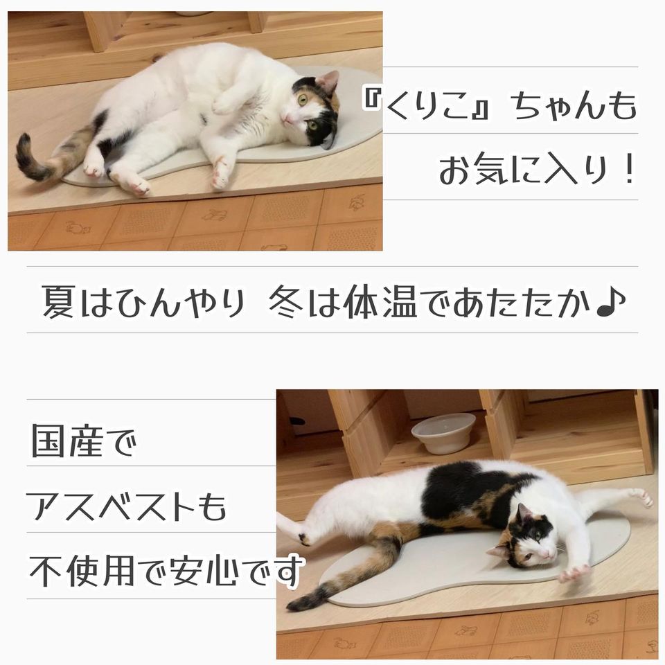 再入荷♪ 冬の猫様専用 - 最安 - apio.admin.stylement.jp