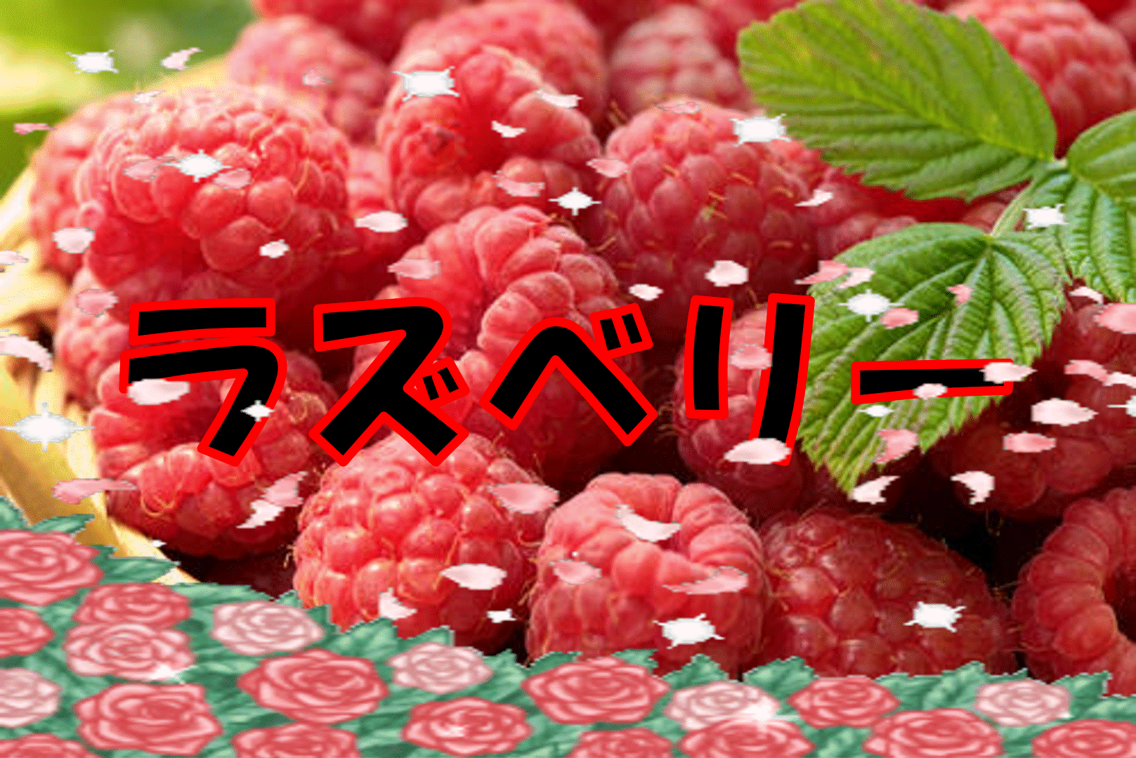ラズベリーの栽培品種 ※2021年度 <夏> | 如月祐介のブログ ｢田吾作ファーム｣
