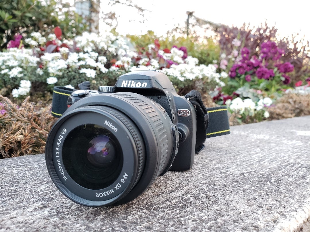 Nikon D60とカメラ内RAW現像について。 | ミノルタカメラのある生活