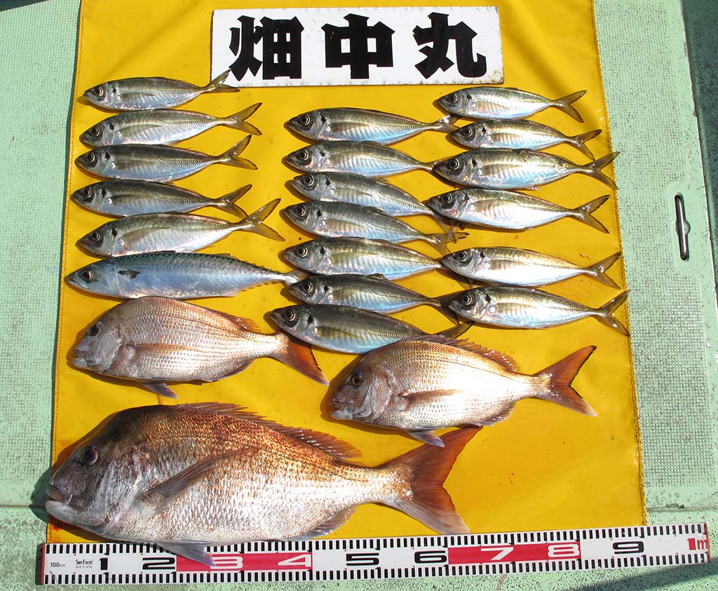 畑中丸 加太の高仕掛けの真鯛釣り (2022/2/24) コマサキのロクマル | T.Tの釣行記録
