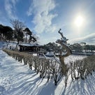 江陵(カンヌン)船橋荘(ソンギョジャン)の幻想的な雪景色❄️の記事より