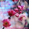 ３月はパワフルな自己改革月∞あなたの本質を開花させるKeikoのカウンセリング＆セッション＆講座の画像