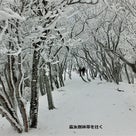 ≪霧氷登山と間近の春≫　杉井さんからのレポートと写真が届きました。の記事より