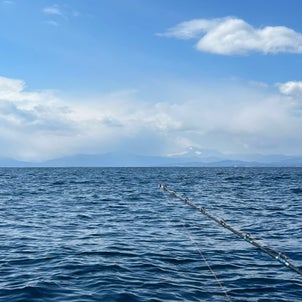 2／24茅ヶ崎のWさんご一行，中深場釣りとラポール1慶応ヨット部きレンタルの画像