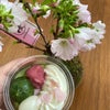 桜スイーツ＆桜盆栽にホッコリ♡の画像
