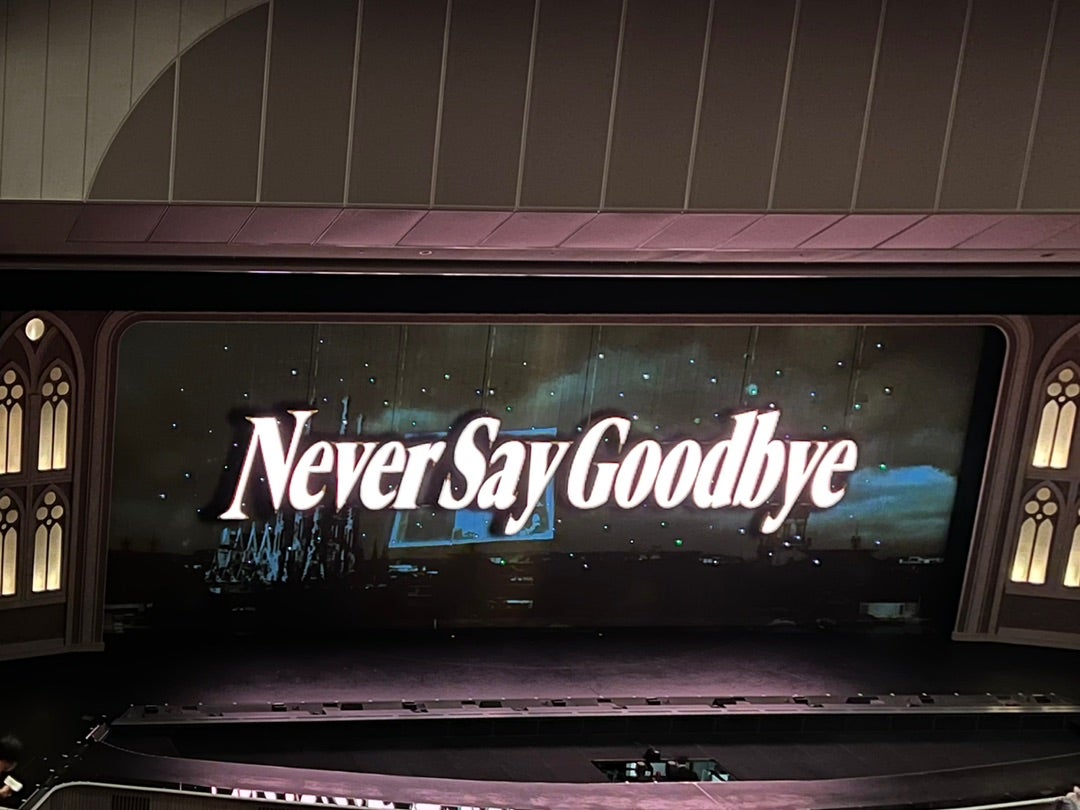 宙組『Never Say Goodbye』感想 | ひなたのグルメ＆宝塚ときどき嵐