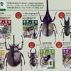 世界の昆虫 DATA BOOK  デアゴスティーニ　原色日本昆虫図鑑の画像