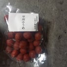 甲州小梅✨の記事より