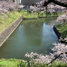 江戸城は平山城　北の丸田安門の左右の堀の水面の高さを見ると判り易いと思いますの記事より